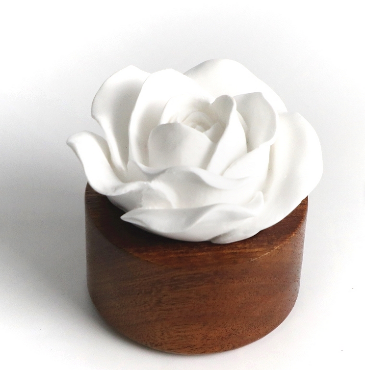 Coffret Rose  Diffuseur + Huile de Rose de Damas (30ml) - MoonRose by Amour’Eu