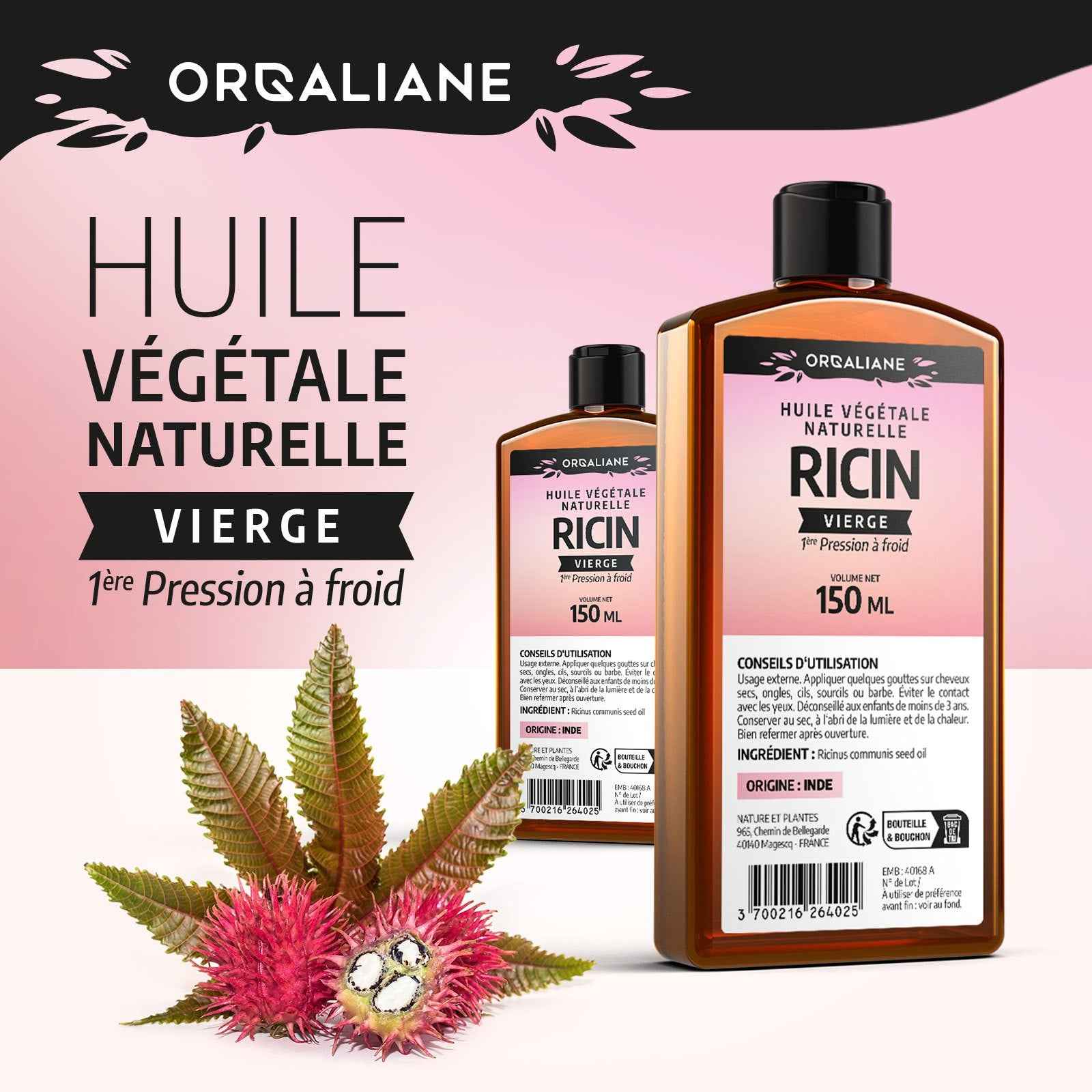 Huile de Ricin Pure 250ml – Cheveux, Barbe & Cils